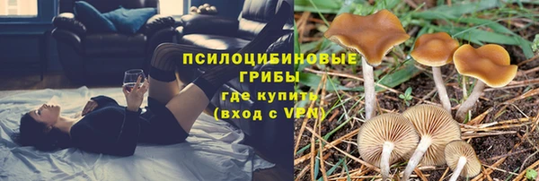 ешки Абаза