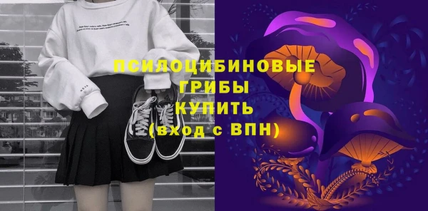 ГАЛЛЮЦИНОГЕННЫЕ ГРИБЫ Алексеевка