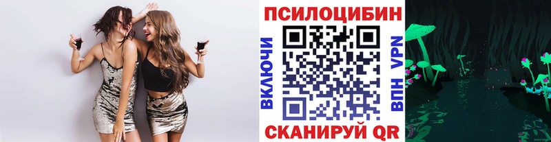 дарнет шоп Поворино Псилоцибиновые грибы Magic Shrooms